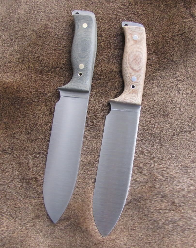 swtuskers4.jpg