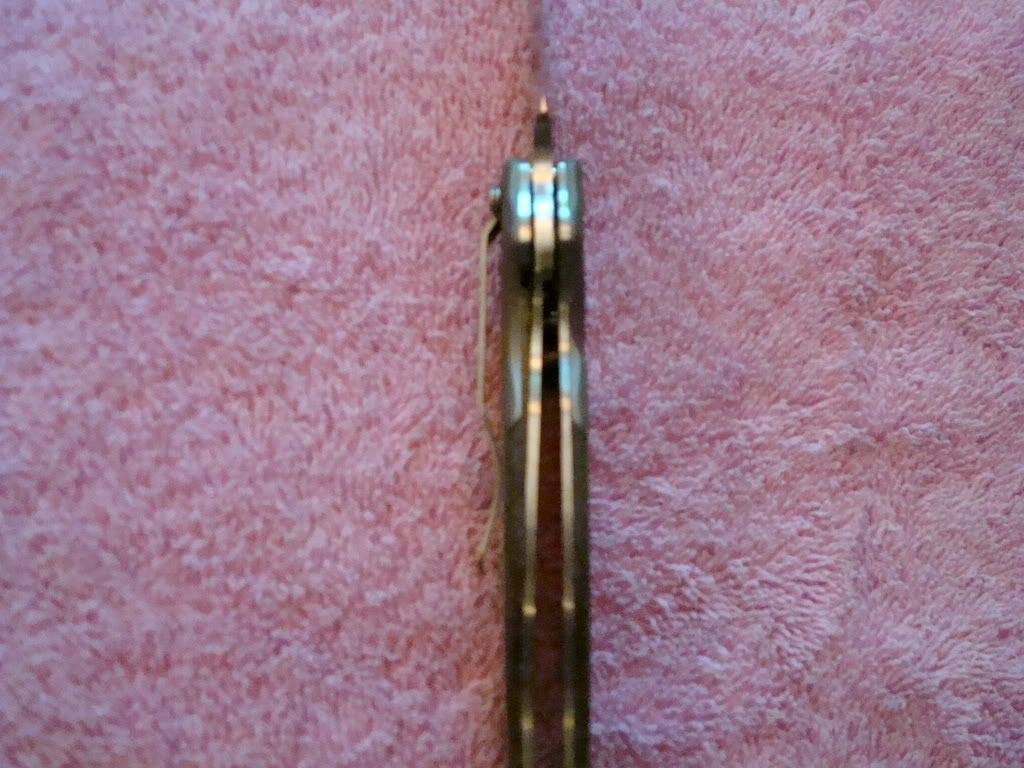 DSC00778.jpg