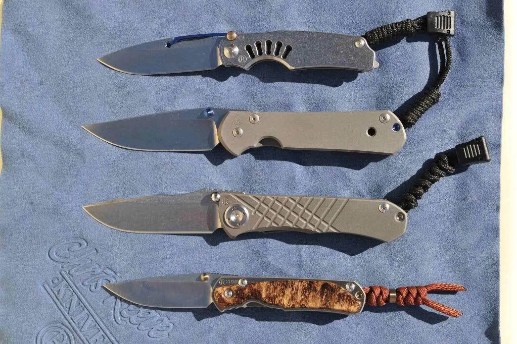ChrisReeveFamilyLR.jpg