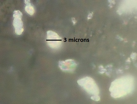 compound_100x.jpg