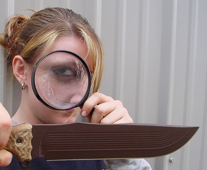 Inspector8.jpg