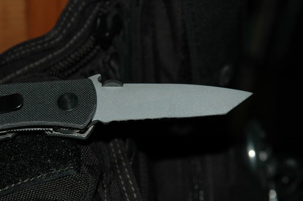 DSC_7697.jpg