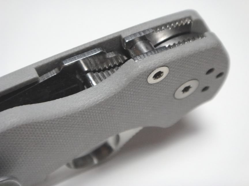 Para2CTS-20CP7.jpg