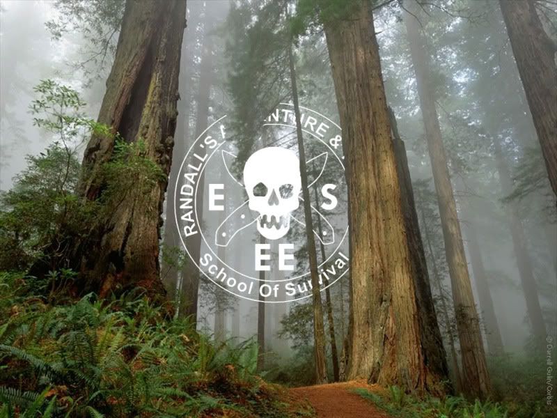 eseefog.jpg