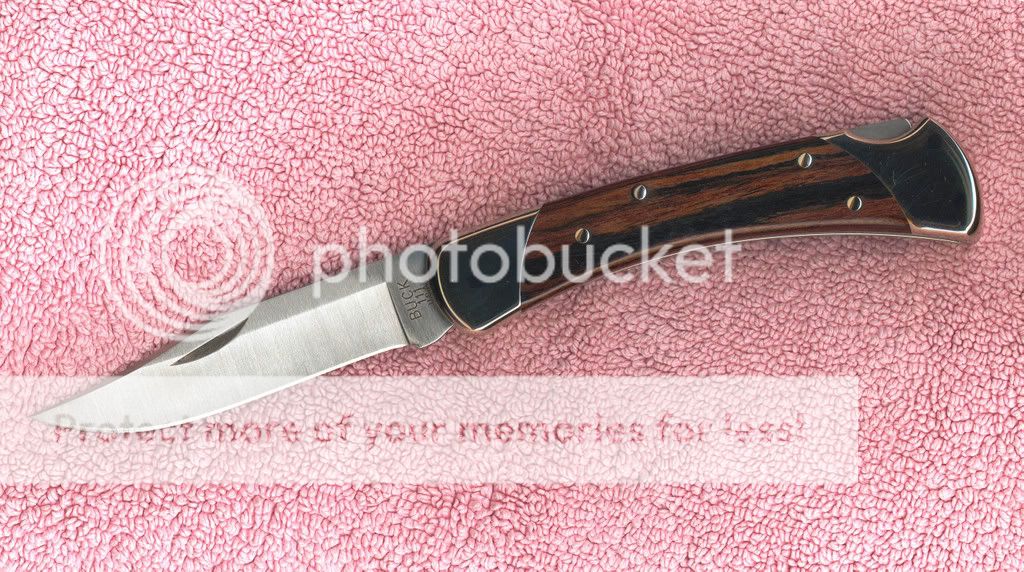 Buck111NSkpl.jpg