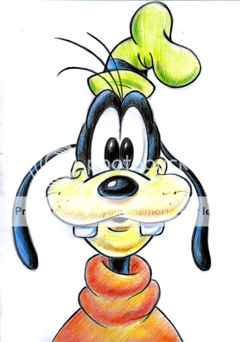 goofy_zpsf5436a99.jpg