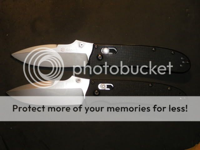 IMGP1521.jpg