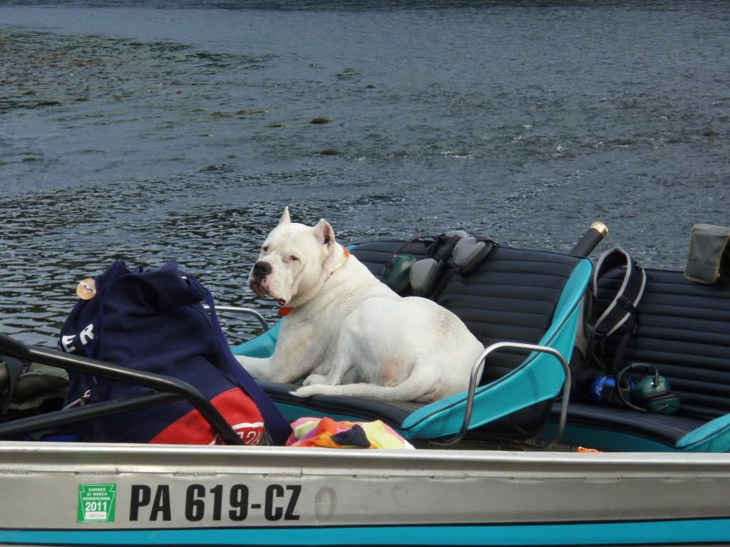 camping009.jpg
