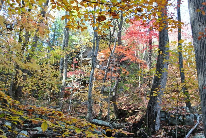 DSC_8154.jpg
