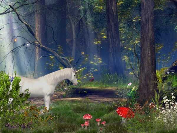 enchanted-forest-animated-screensaver1.jpg
