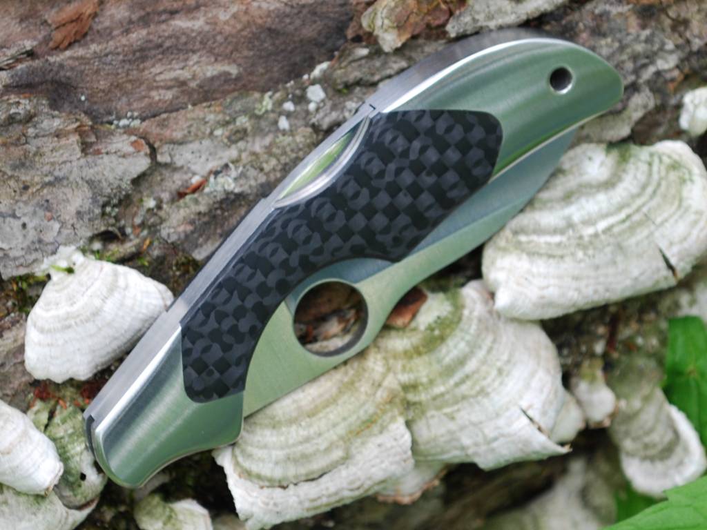 carbon_fiber_kiwi_14.jpg