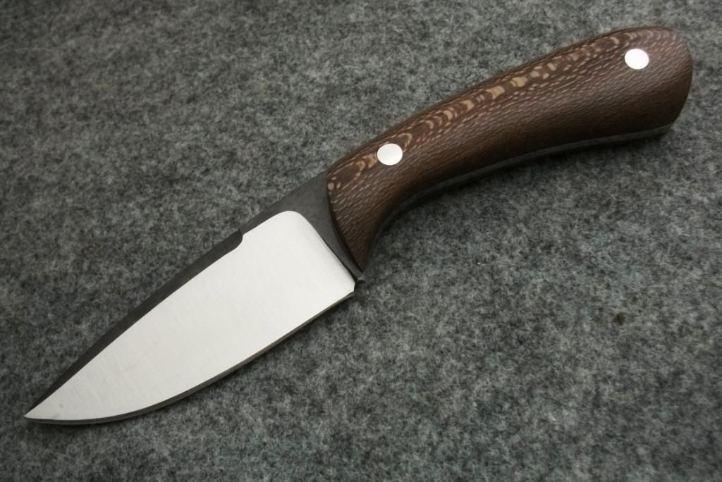CAMPY127.jpg
