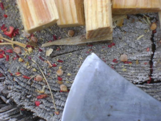 DSC06127.jpg