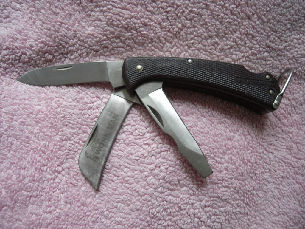 Buck813.jpg