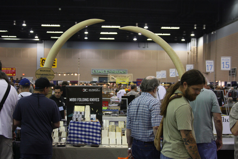 IMG8053-L.jpg