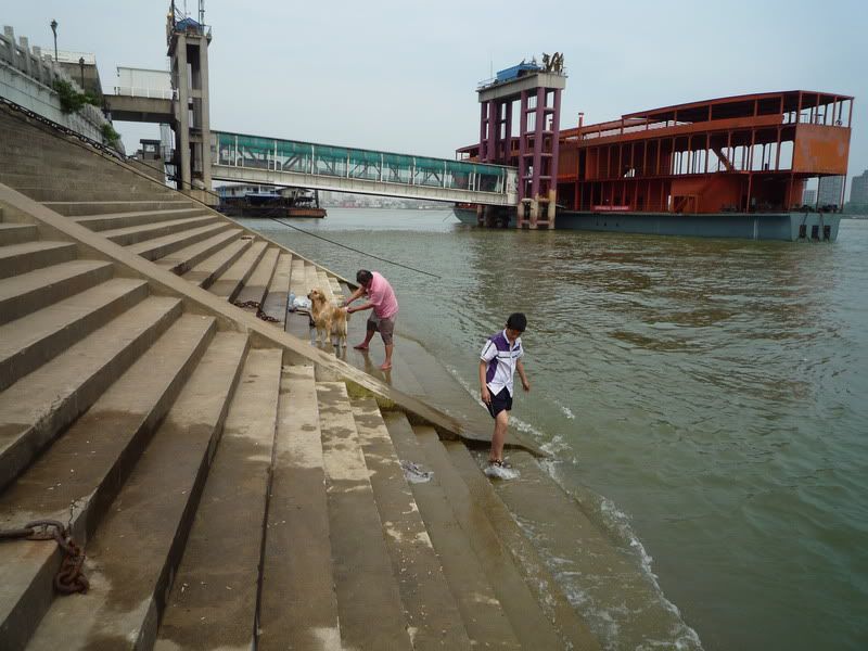 P1060541.jpg