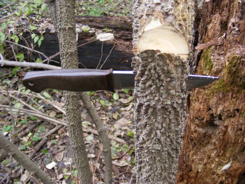 DSCF2687.jpg