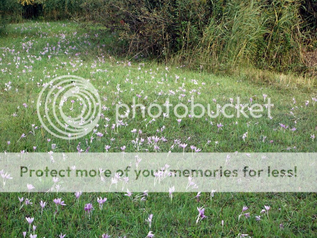 Bicycle_Tour_06_small_zps3a804f1e.jpg