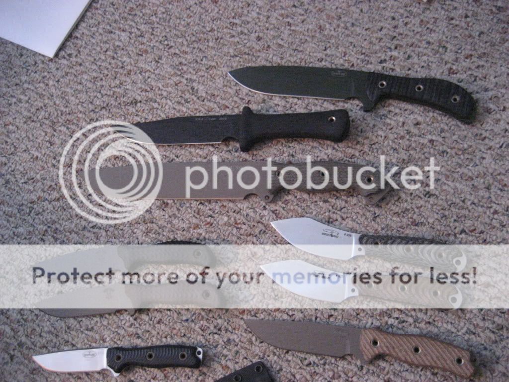 IMG_1627.jpg