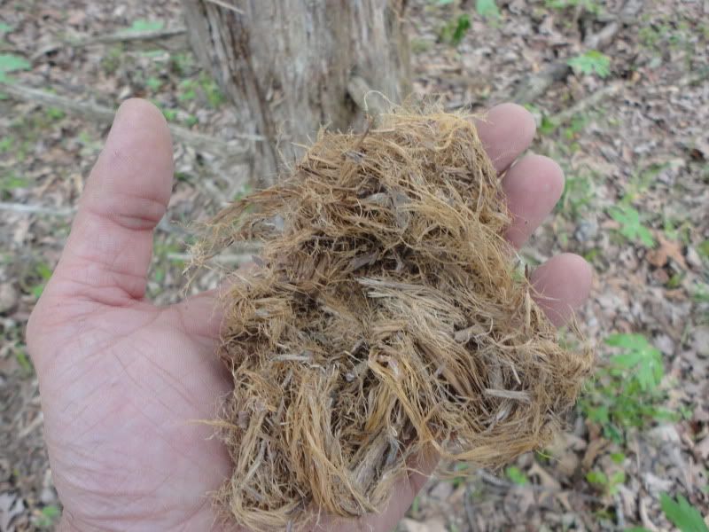 bushclass042.jpg