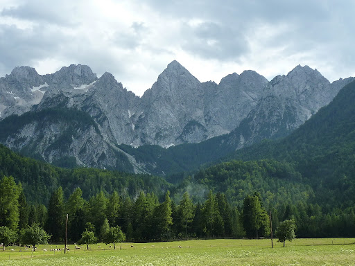 P1000737.JPG