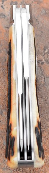 rbose-458stag2bladesaddlehorn-6.jpg