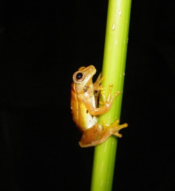 CanyoNegroTour060.jpg
