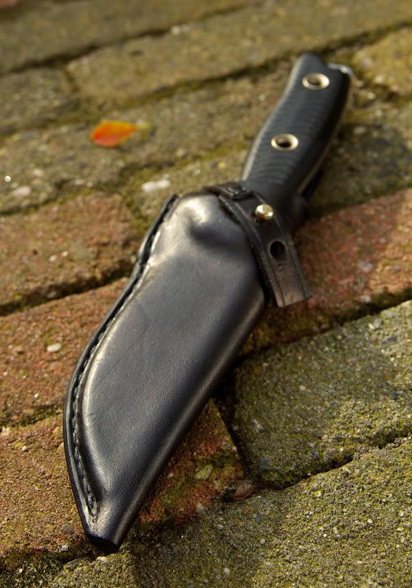 HCsheaths05.jpg