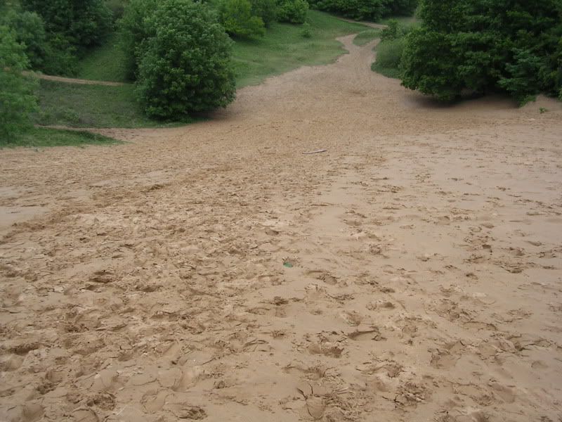 DSCN2155.jpg