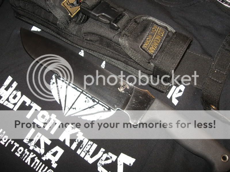 003-10.jpg