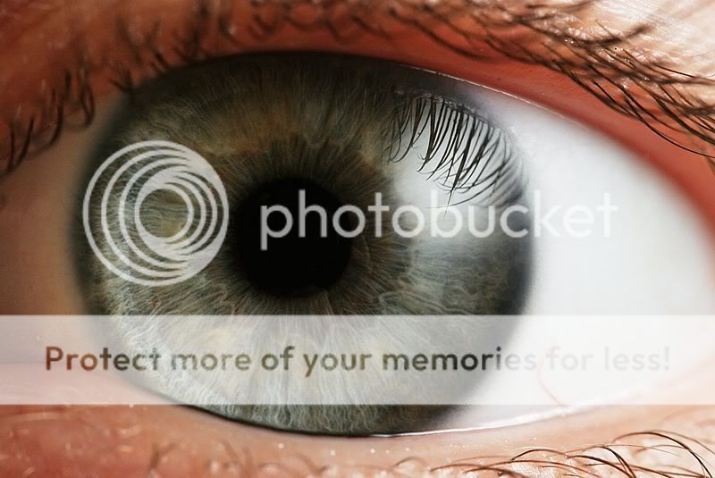 800px-Eye_iris.jpg