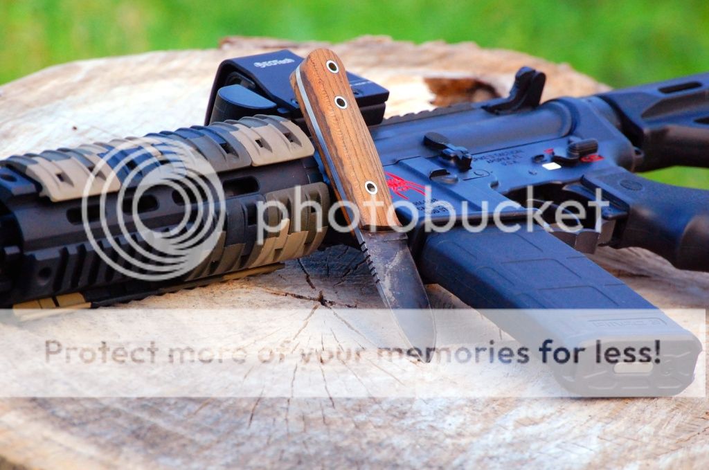 ewokAR04.jpg