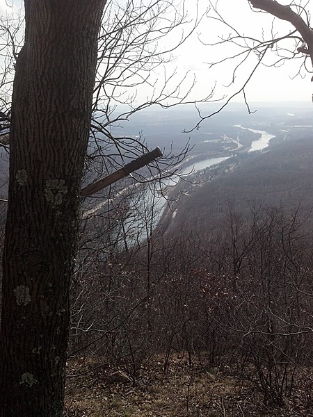 2012-03-08_10-57-47_266.jpg