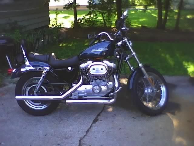 sportster.jpg
