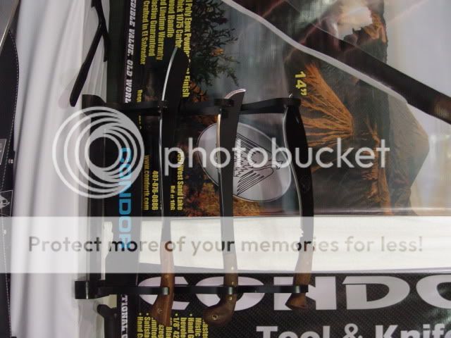 DSC09346.jpg