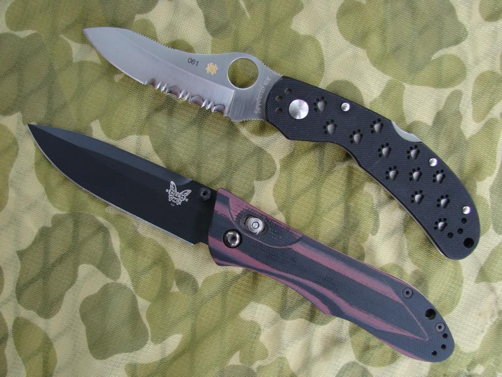 BM730andSpydercoOcelot003.jpg