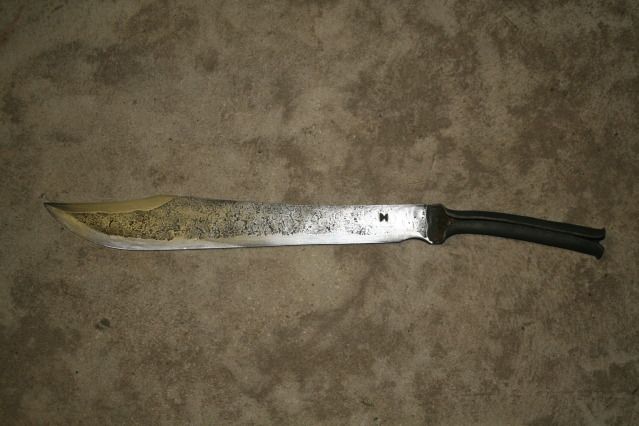 seal02.jpg
