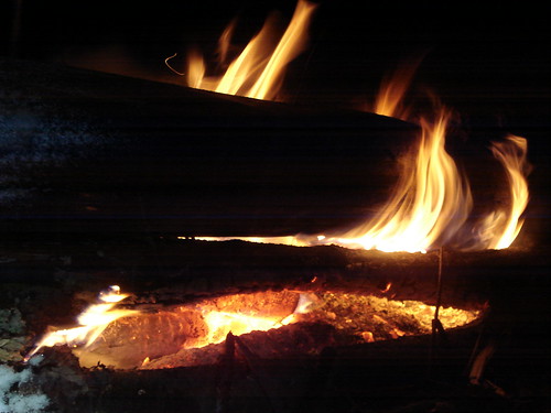 12011422765_d04c401fb3.jpg