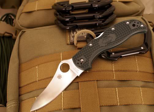 ZT3-19001.jpg