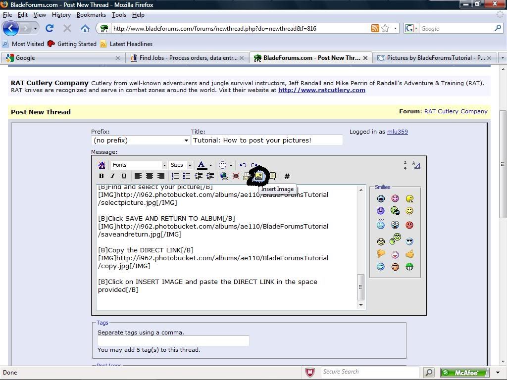 insertimage.jpg