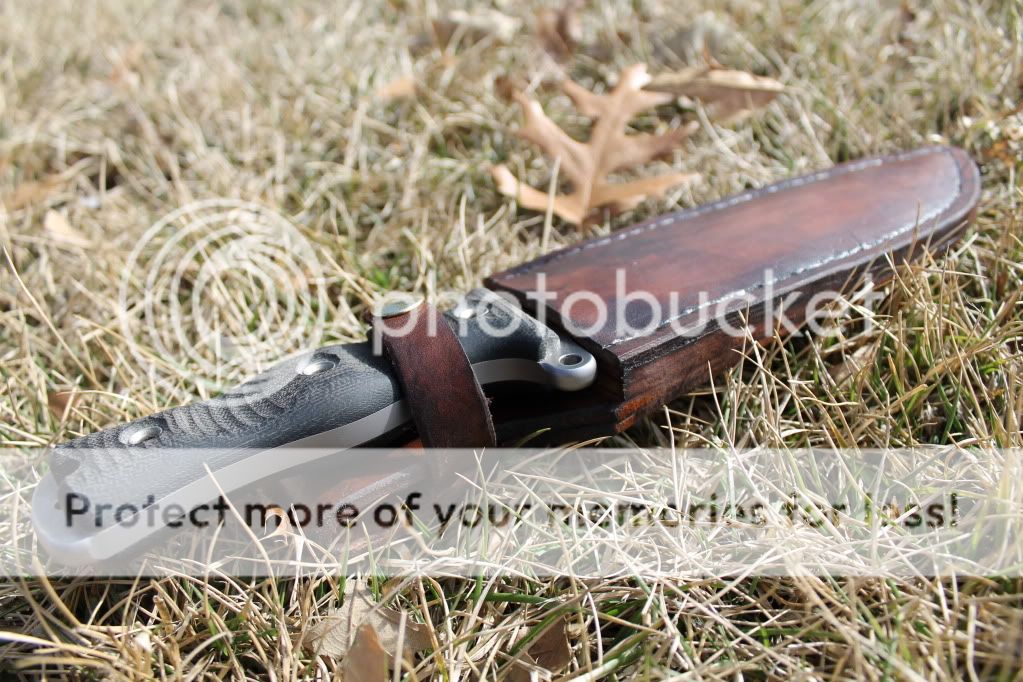 IMG_2127_zpsdbf0cd69.jpg