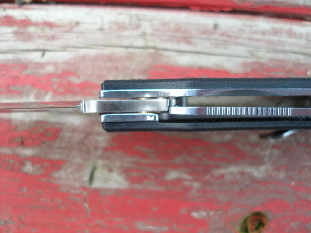 Bradley007.jpg