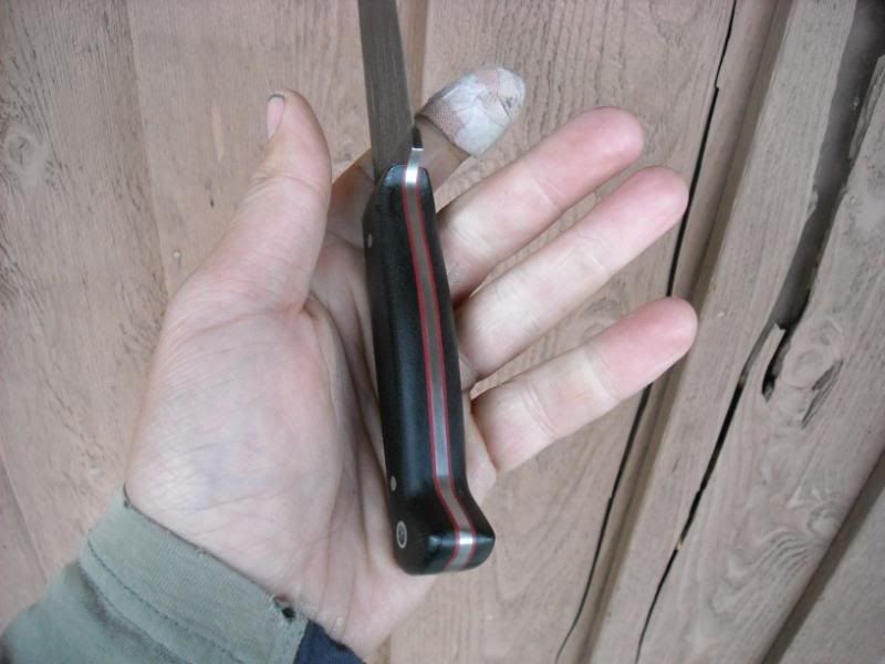 blackwidow006.jpg