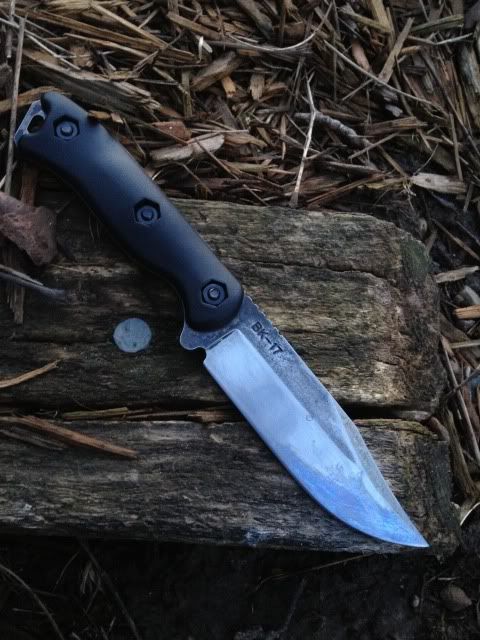 porkpatina.jpg