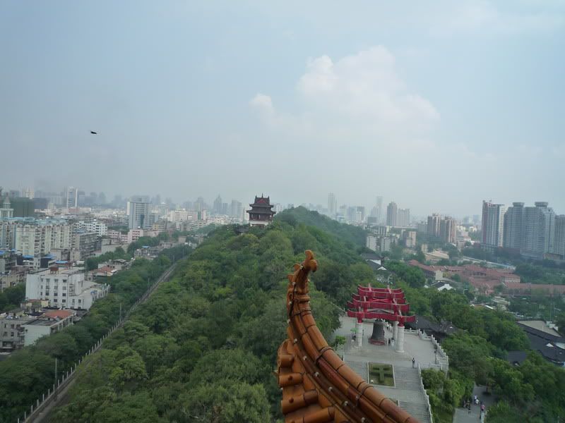 P1010479.jpg