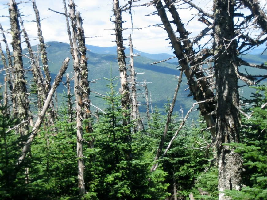 MtWashington010.jpg