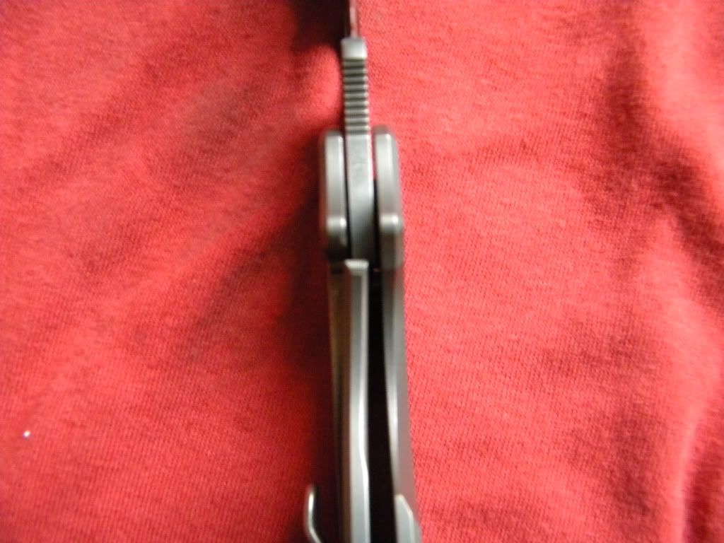 005-7.jpg