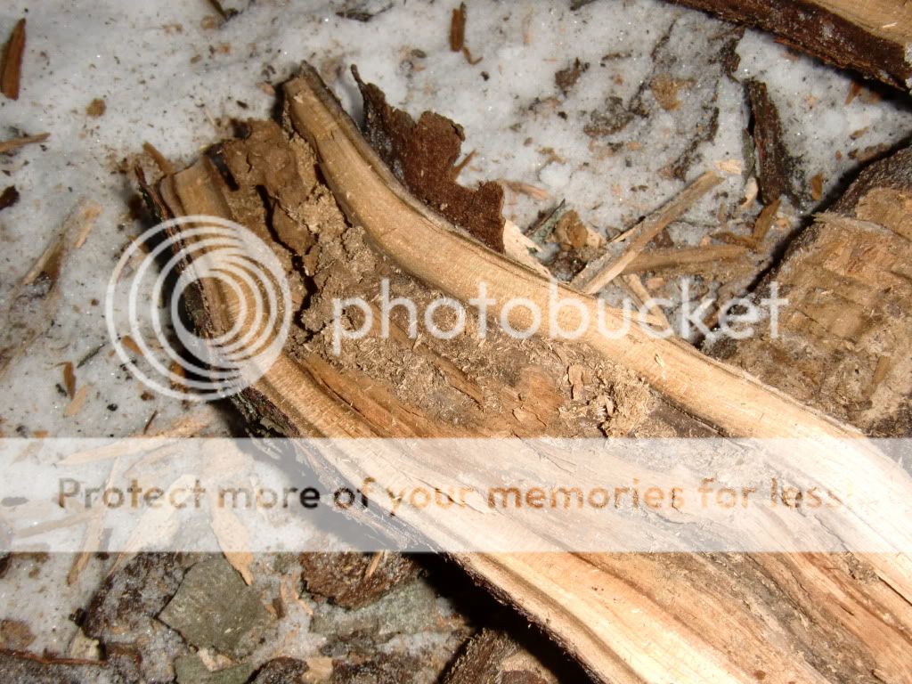 CIMG0048.jpg
