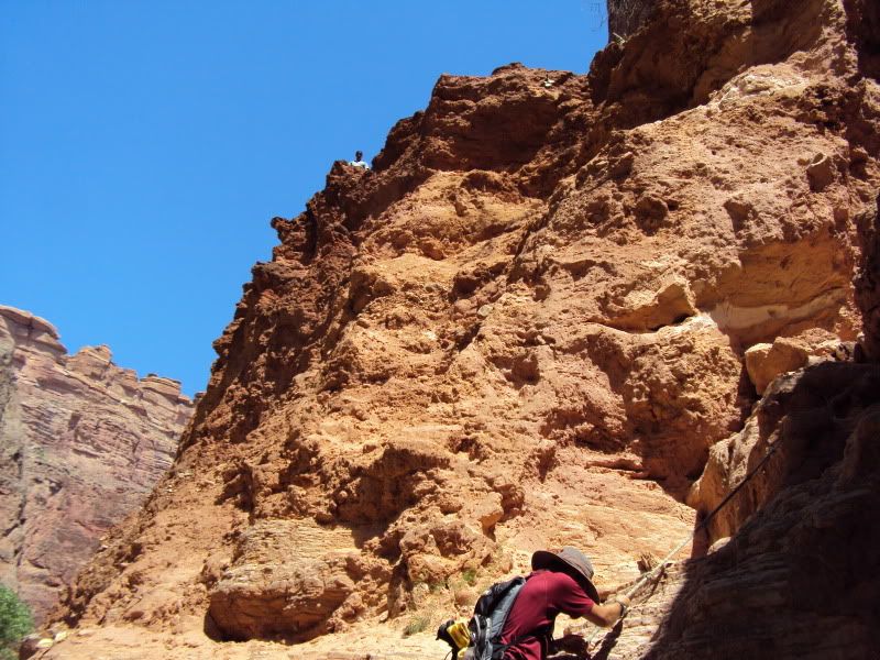 DSC01587-1.jpg