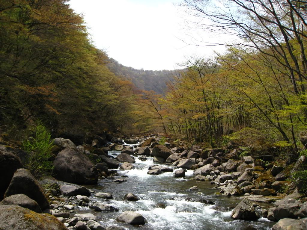 TogataHikeApr2011003.jpg